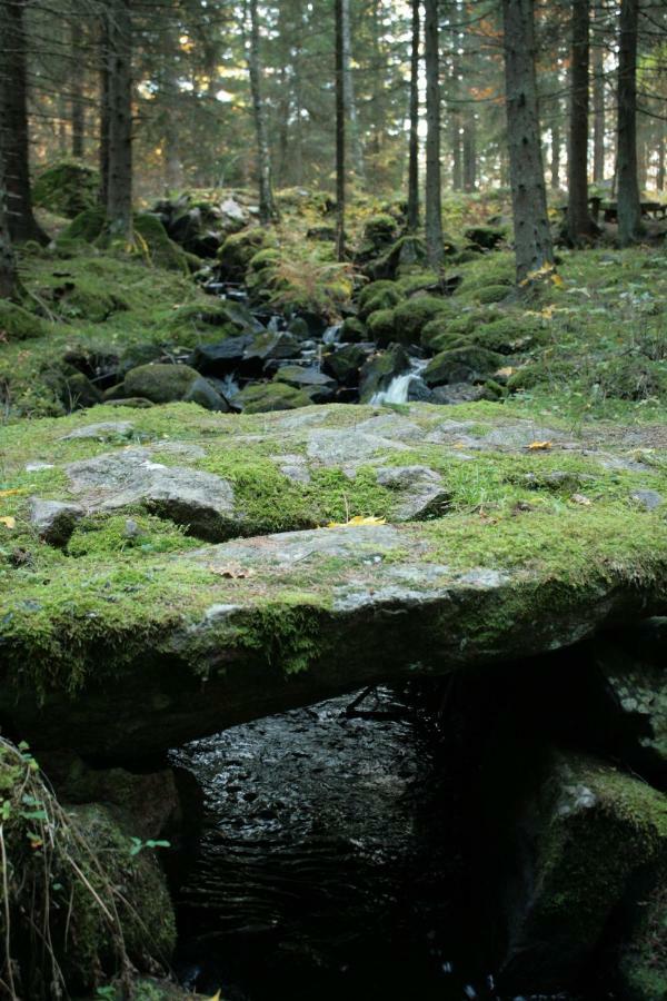 Draengstugan I Humla Blidsberg 외부 사진
